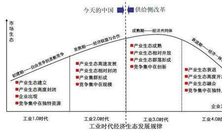 跟岗和定岗是什么意思