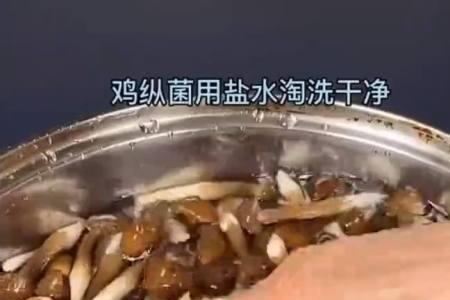 什么菌菇不能用水洗