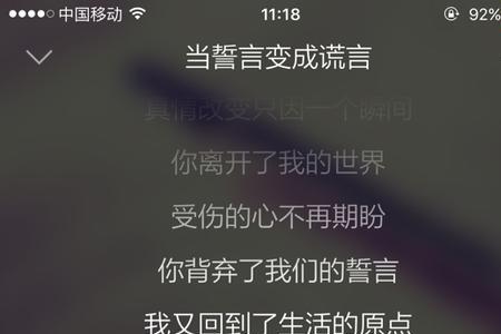 最长的是誓言是什么歌