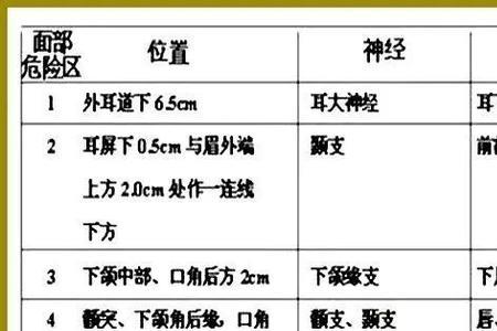 面部首结构