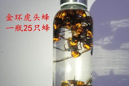 蜜蜂泡酒要活体泡吗