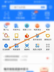 支付宝生活缴费怎么看用量