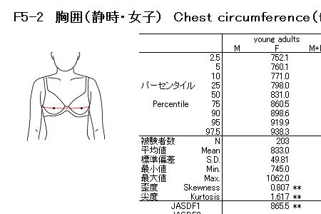 ccup胸围多少厘米