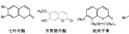 内酯是什么样子