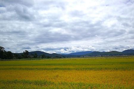 沉甸甸地什么填动词