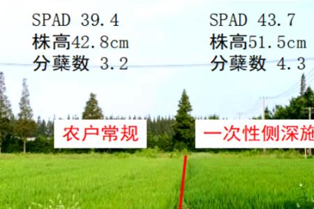 水稻化验出米率国家标准