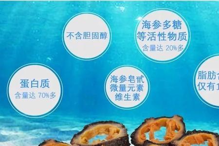 北极海参的食用量