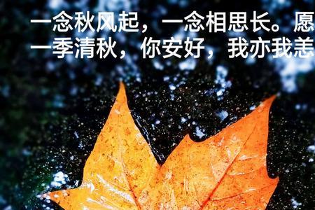 与晚秋对应的情侣网名