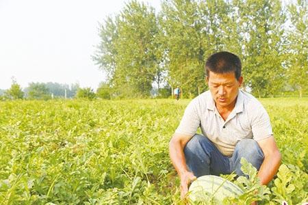 郑州一亩田上班怎么样