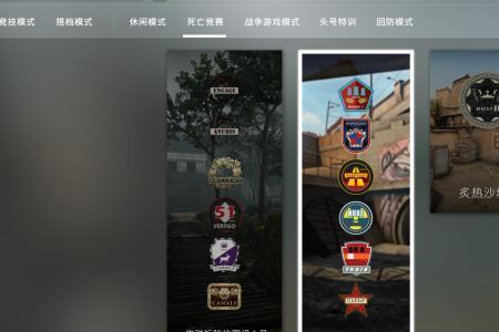 csgo枪图标不显示怎么回事