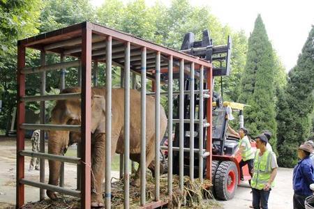 曲靖寥廓山动物园的开放时间