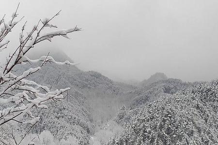 什么雪景填动词一个字