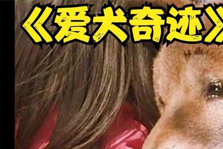 爱犬的奇迹小女孩谁演的