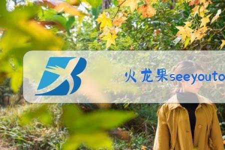 seesee什么梗