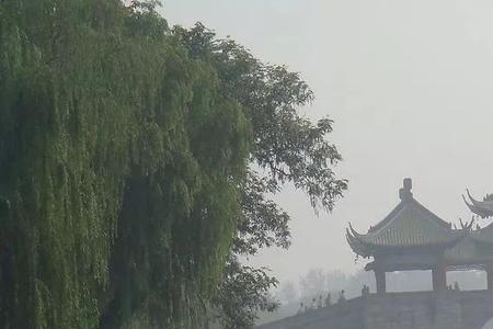 阵阵细雨读音