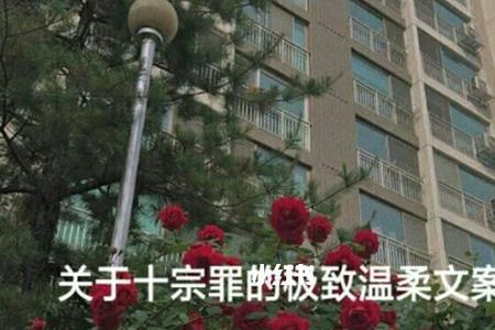 十宗罪章右民原型