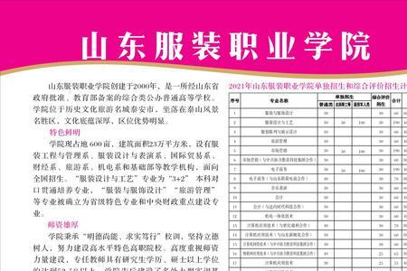 山东服装职业学院有几家公司