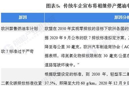 汽油车发展多少年了