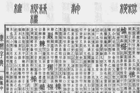 田加木可以组成什么字