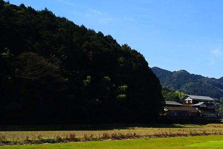 碧绿的田野造句