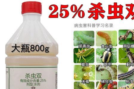 大葱食心虫害虫怎么治