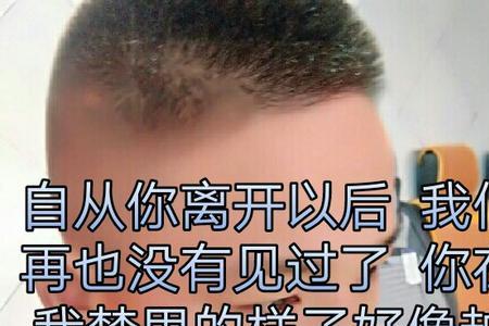 再也没有你的信是什么歌