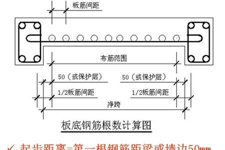 b和t哪个是底筋