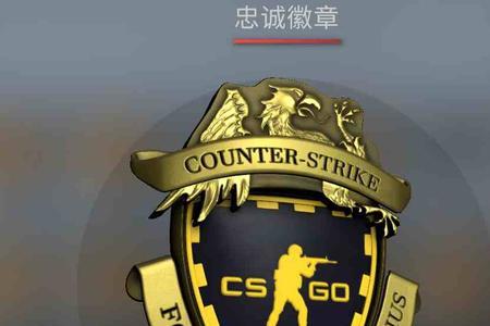 csgo胸章有什么用