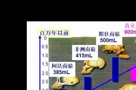 关于遗传和变异的科学家