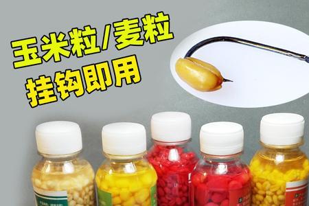 嫩玉米冷冻后还能钓鱼吗