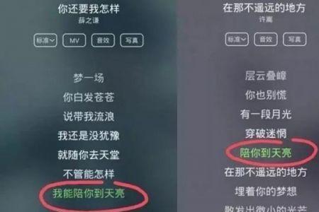 花粥抄了许嵩什么歌