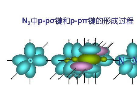 sigma 键都有什么化学键