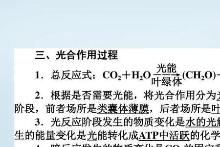 光合作用包括水的光解和