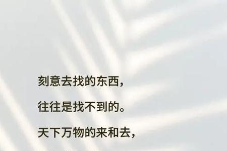 失去一切是什么意思