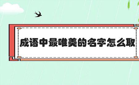 洋气高级的成语