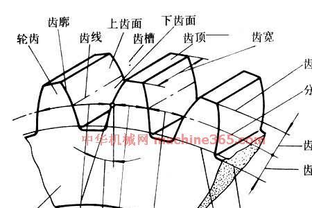 什么是基圆