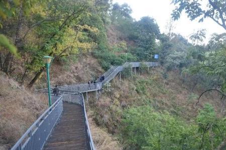 陡峭山坡登山步道怎么运料施工