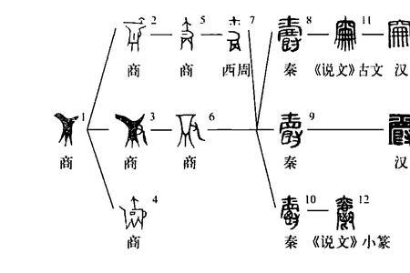 爵头是什么颜色