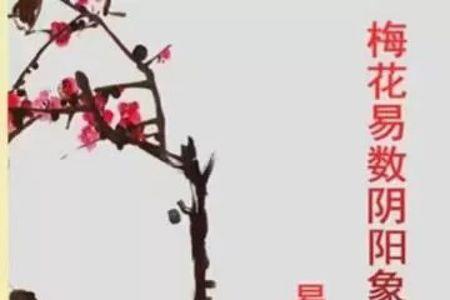 易阳易阴未知道的意思