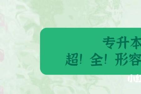 一张张是什么词