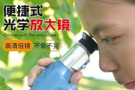 多大倍数放大镜能看见微生物