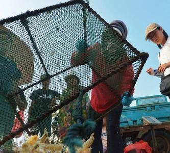 塘沽9月开海哪里买海鲜好