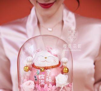 招财猫花的寓意是什么