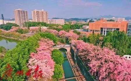 广州读大学生活常识