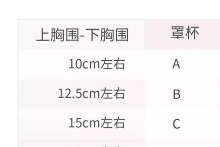 胸围78cm是多大尺码