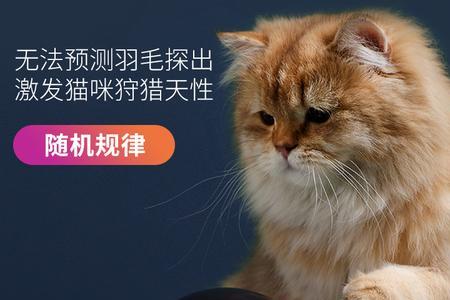 猫咪对逗猫棒无动于衷什么原因