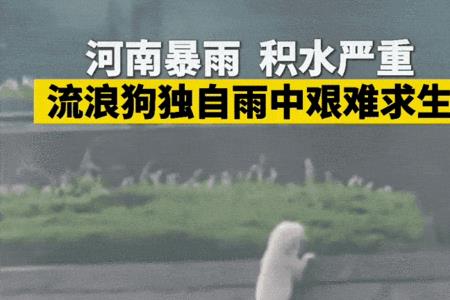 暴雨如柱是成语吗