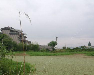 浮萍太厚雷蛙下不去怎么办