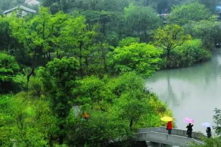 天有烟雨风有云是什么意思