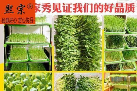 发豆芽用塑料筐安全吗